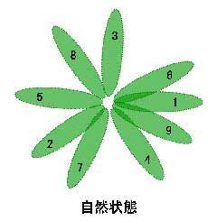 自然状態の例